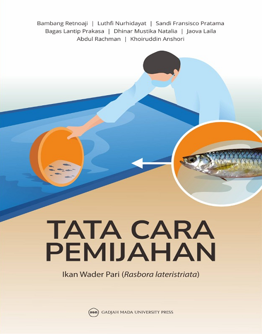 Tata Cara Pemijahan Ikan Wader Pari (Rasbora lateristriata)